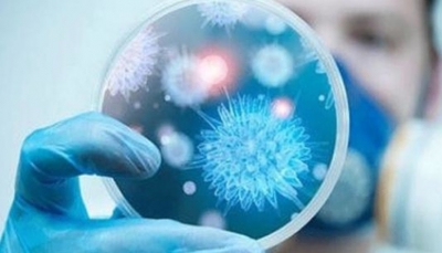 دراسة تنفي مزاعم تطور فيروس كورونا إلى سلالات أكثر عدوانية