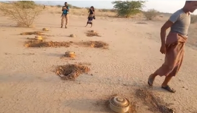 اكتشاف حقل ألغام جديد على مساحة تتجاوز 700 متر جنوب الحديدة